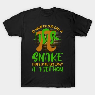 Pithon Pi Symbol Funny Math Teacher T-Shirt